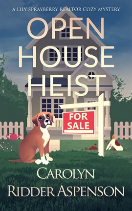 Cover image for Open House Heist