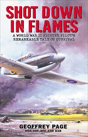 Shot down in flames : a World War II fighter pilot's remarkable tale of survival cover image