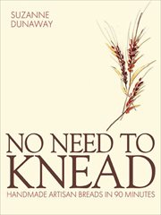 No need to knead : handmade artisan breads in 90 minutes cover image