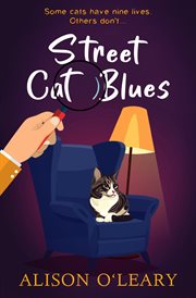 Street cat blues. Cat noir cover image