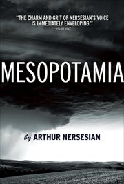 Mesopotamia cover image