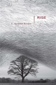 Rise : stories cover image