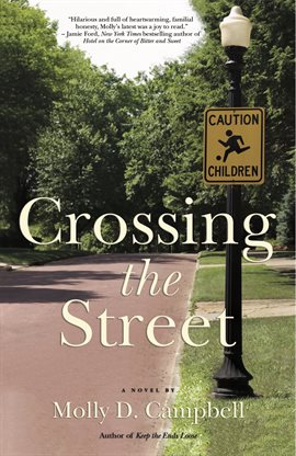 Cover image for Crossing the Street