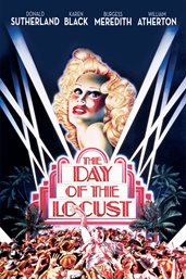 The day of the locust cover image