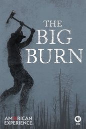 The big burn cover image