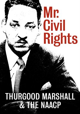 Linkto Mr. Civil Rights [DVD] in Hoopla
