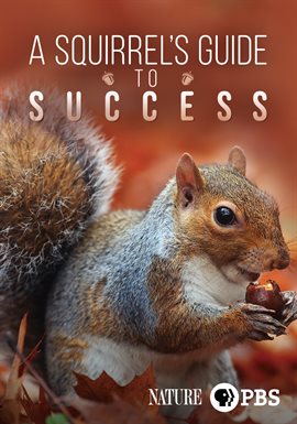 Cover image for A Squirrel's Guide to Success