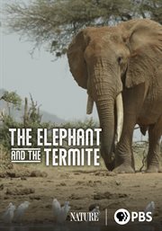 The Elephant and the Termite cover image