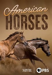 American Horses : Nature cover image