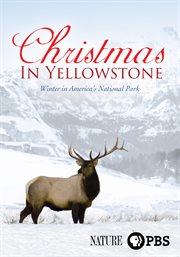 Christmas in yellowstone cover image