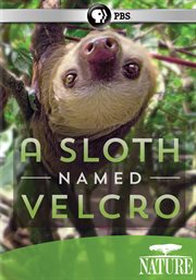 A sloth named Velcro cover image