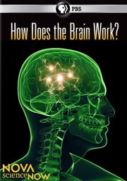 How Does the Brain Work? cover image