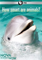 How smart are animals? cover image