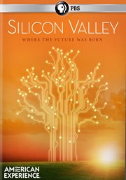 Silicon Valley cover image