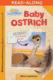 Baby ostrich cover image