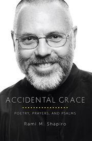 Accidental grace cover image