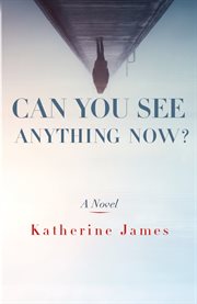 Can you see anything now? : a novel cover image