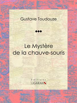 Cover image for Le Mystère de la chauve-souris