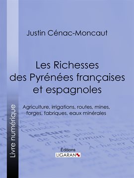 Cover image for Les Richesses des Pyrénées françaises et espagnoles