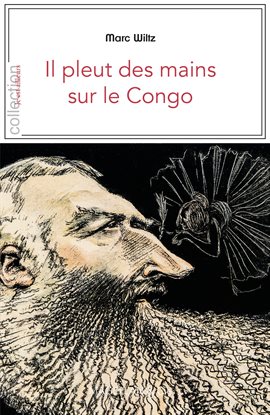 Cover image for Il pleut des mains sur le Congo