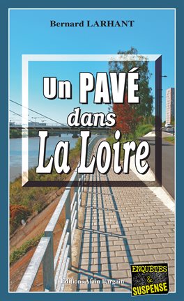 Cover image for Un Pavé dans la Loire