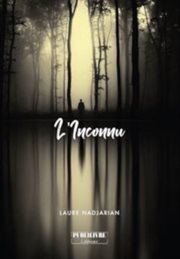 L'Inconnu : roman fantasy cover image