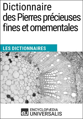 Cover image for Dictionnaire des Pierres précieuses fines et ornementales