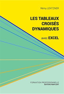 Cover image for Les tableaux croisés dynamiques avec Excel