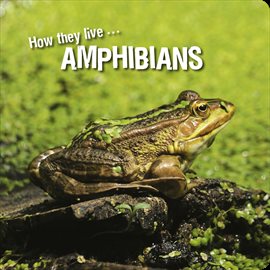 Cover image for How they live... Amphibians
