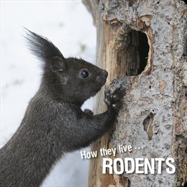Cover image for How they live... Rodents