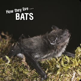 Cover image for How they live... Bats