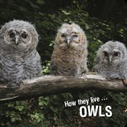 How they live... owls. Learn All There Is to Know About These Animals! cover image