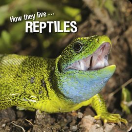 Cover image for How they live... Reptiles