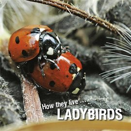 Cover image for How they live... Ladybirds