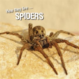 Cover image for How they live... Spiders