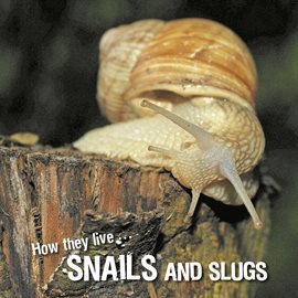 Cover image for How they live... Snails and Slugs