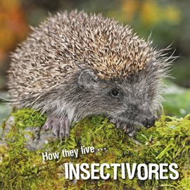 Cover image for How they live... Insectivores