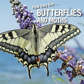 Cover image for How they live... Butterflies and Moths