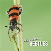 Beetles. Learn All There Is to Know About These Animals! cover image