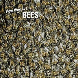 Cover image for How they live... Bees