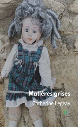 Cover image for Matières grises