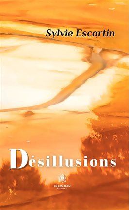 Cover image for Désillusions