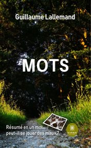 Mots. Roman cover image