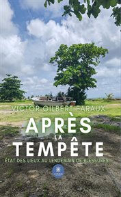 Après la tempête : État Des Lieux Au Lendemain De Blessures… cover image