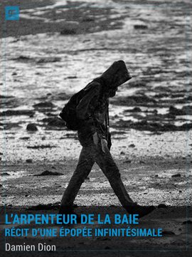 Cover image for L'Arpenteur de la Baie