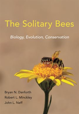 Cover image for The Solitary Bees
