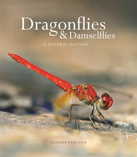 Cover image for Dragonflies and Damselflies