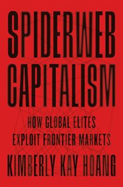 Spiderweb Capitalism : How Global Elites Exploit Frontier Markets cover image