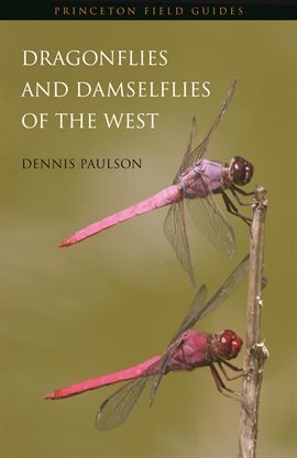 Cover image for Dragonflies and Damselflies of the West