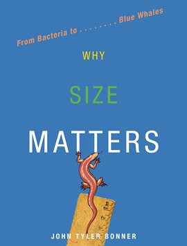 Umschlagbild für Why Size Matters